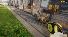 Animal Shelter Simulator