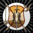 Age of Conquest