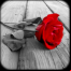 Photo Art - Color Effects
