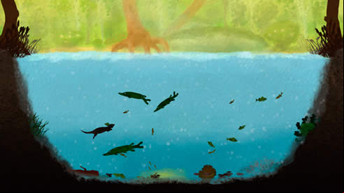 Among Ripples