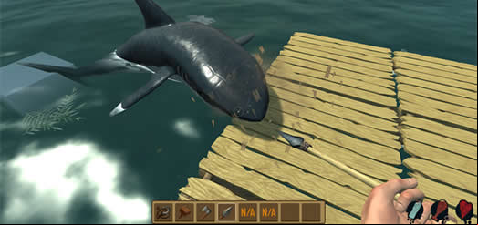 Raft