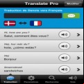 Traducteur Professionnel