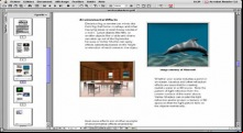 Adobe Reader
