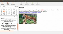 RedNotebook
