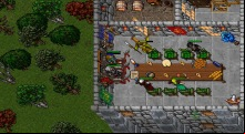 Tibia