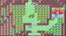 PokeMMO