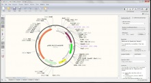 SnapGene