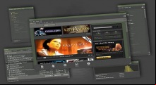 Steam
