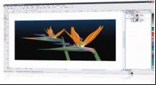 Corel Draw