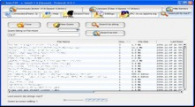 ANts P2P