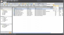 Benubird PDF