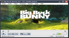 VLC Media Player Portable