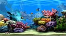 Living Marine Aquarium 2