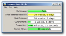 Progress Bars of Life