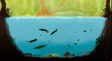 Among Ripples