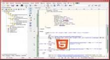 SynWrite