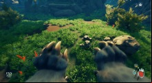 Feral