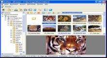 XnView