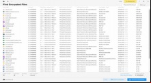 ware Encryption Analyzer