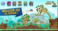 Angry Birds Friends