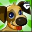 Tap Pet Hotel