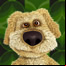 Ben le chien qui parle