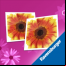 Memory Fleurs